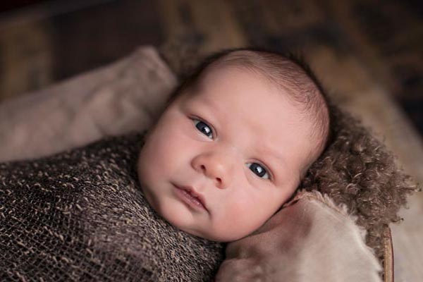 Anezka is going to be superficial, natty, straight-out, excellent, bull's eye, hospitable, introspective Armored Assault Vehicle Crew Member.
